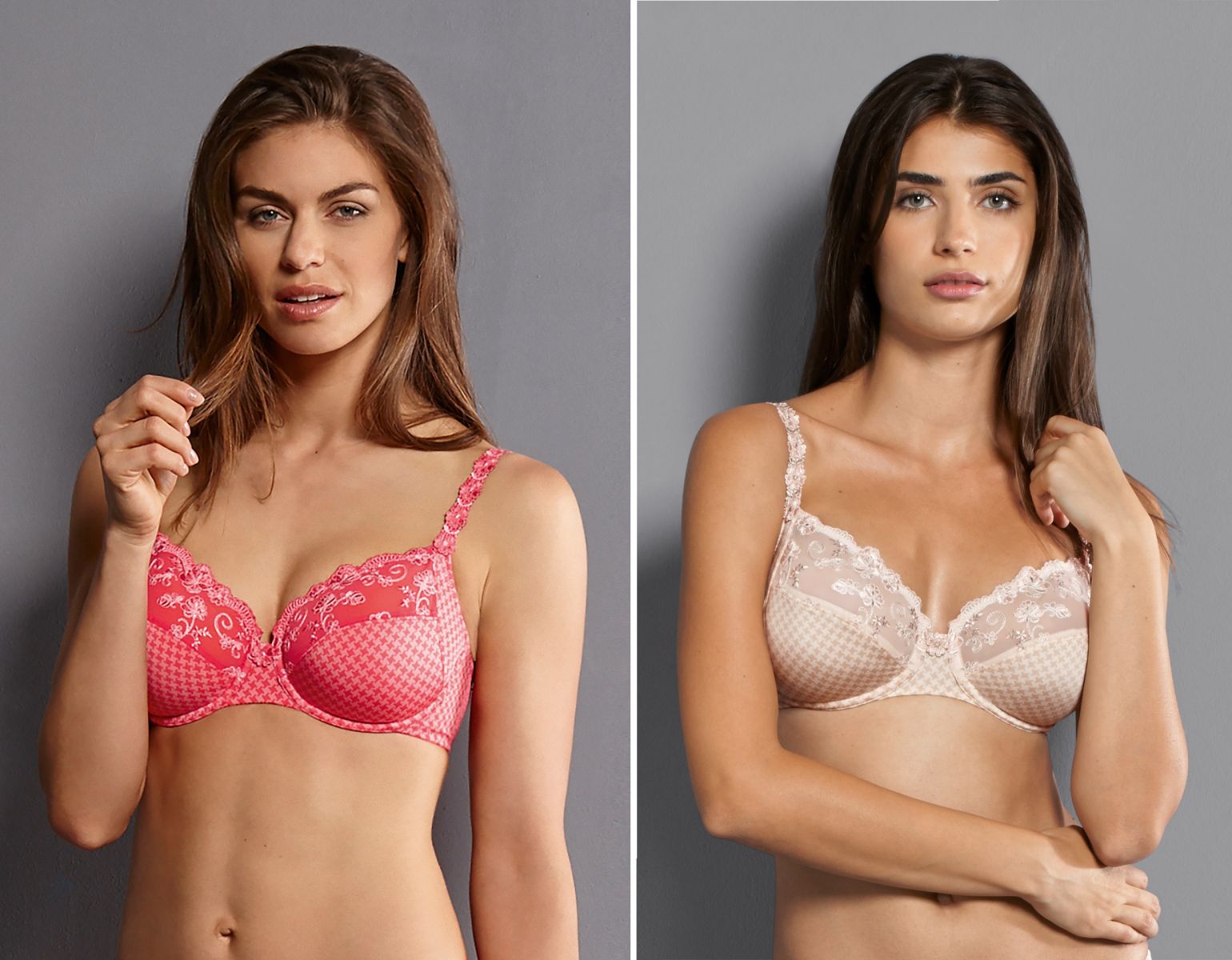 Rosa Faia Josephine 5674